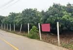 ที่ดินเวียงหนองล่อง ลำพูน, ลำพูน