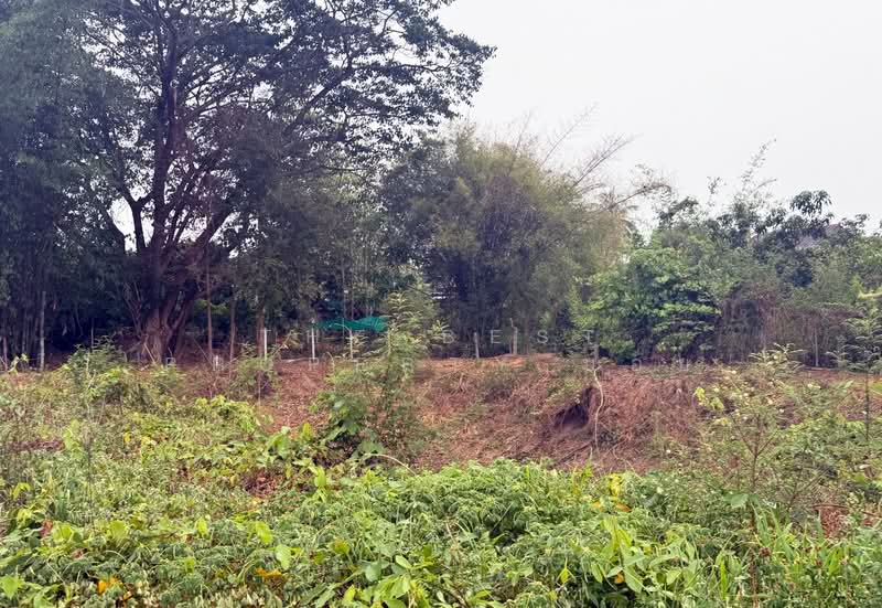 ที่ดินเวียงหนองล่อง ลำพูน, Lamphun, Nong Yuang, Wieng Nong long, Lamphun, , 2,444 sqm, Land For Sale, by The Best Property บอย, 500272255 - DDproperty.com