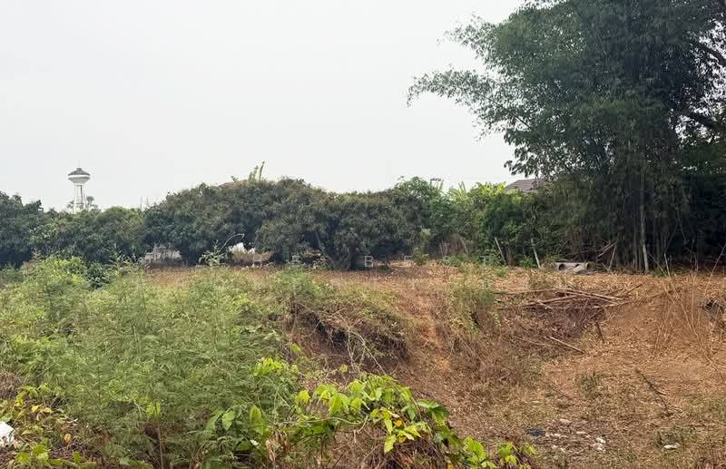 ที่ดินเวียงหนองล่อง ลำพูน, Lamphun, Nong Yuang, Wieng Nong long, Lamphun, , 2,444 sqm, Land For Sale, by The Best Property บอย, 500272255 - DDproperty.com