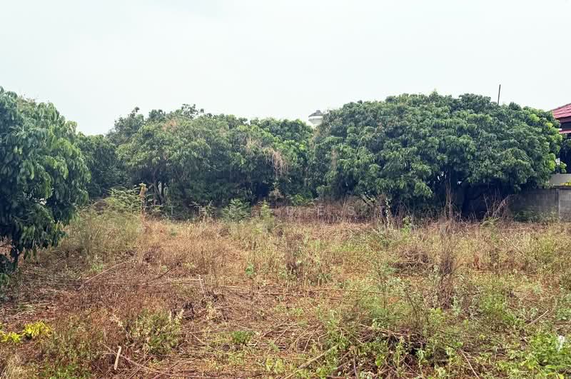 ที่ดินเวียงหนองล่อง ลำพูน, ลำพูน, หนองยวง, เวียงหนองล่อง, ลำพูน, 2,444 ตร.ม., ที่ดิน ขาย, โดย The Best Property บอย, 500272255 - DDproperty.com
