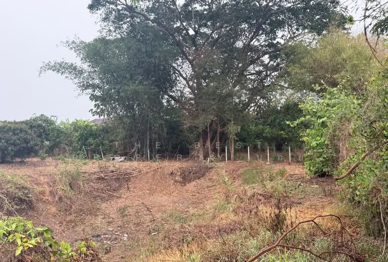 ที่ดินเวียงหนองล่อง ลำพูน, Lamphun, Nong Yuang, Wieng Nong long, Lamphun, , 2,444 sqm, Land For Sale, by The Best Property บอย, 500272255 - DDproperty.com