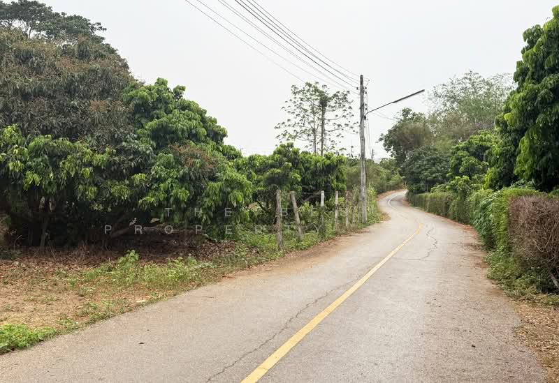 ที่ดินเวียงหนองล่อง ลำพูน, ลำพูน, หนองยวง, เวียงหนองล่อง, ลำพูน, 2,444 ตร.ม., ที่ดิน ขาย, โดย The Best Property บอย, 500272255 - DDproperty.com