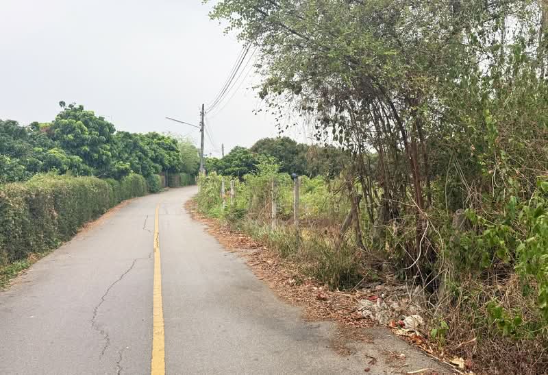 ที่ดินเวียงหนองล่อง ลำพูน, ลำพูน, หนองยวง, เวียงหนองล่อง, ลำพูน, 2,444 ตร.ม., ที่ดิน ขาย, โดย The Best Property บอย, 500272255 - DDproperty.com