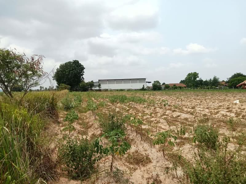 5 rai of land for sale in Bueng, Khong Market community, adjacent to a concrete road,, Chon Buri (Pattaya), Bueng, Si Racha, Chon Buri (Pattaya), , 8,328 sqm, Land For Sale, by RICHWELL INTERPLUS, 500272338 - DDproperty.com