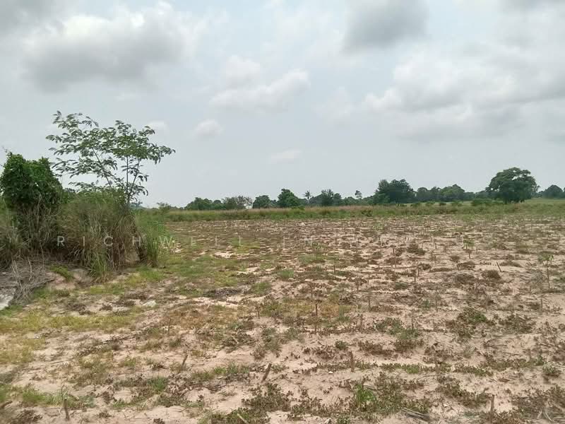 5 rai of land for sale in Bueng, Khong Market community, adjacent to a concrete road,, Chon Buri (Pattaya), Bueng, Si Racha, Chon Buri (Pattaya), , 8,328 sqm, Land For Sale, by RICHWELL INTERPLUS, 500272338 - DDproperty.com