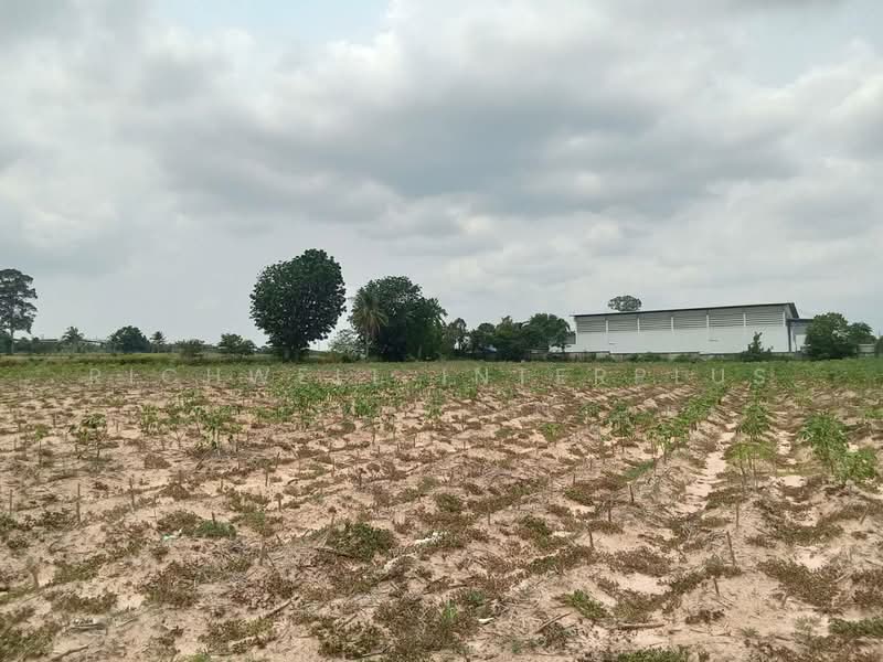 5 rai of land for sale in Bueng, Khong Market community, adjacent to a concrete road,, Chon Buri (Pattaya), Bueng, Si Racha, Chon Buri (Pattaya), , 8,328 sqm, Land For Sale, by RICHWELL INTERPLUS, 500272338 - DDproperty.com