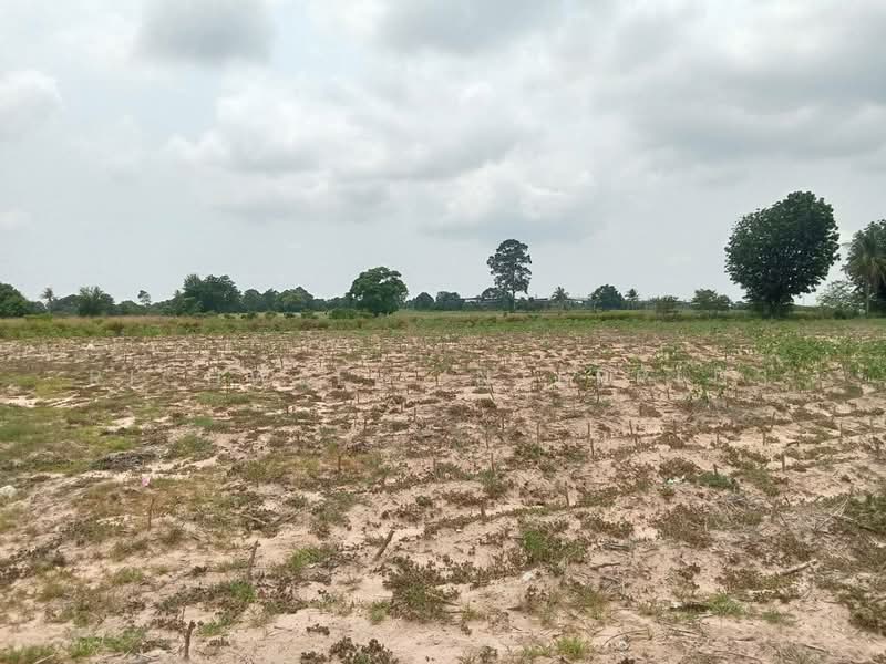 5 rai of land for sale in Bueng, Khong Market community, adjacent to a concrete road,, Chon Buri (Pattaya), Bueng, Si Racha, Chon Buri (Pattaya), , 8,328 sqm, Land For Sale, by RICHWELL INTERPLUS, 500272338 - DDproperty.com