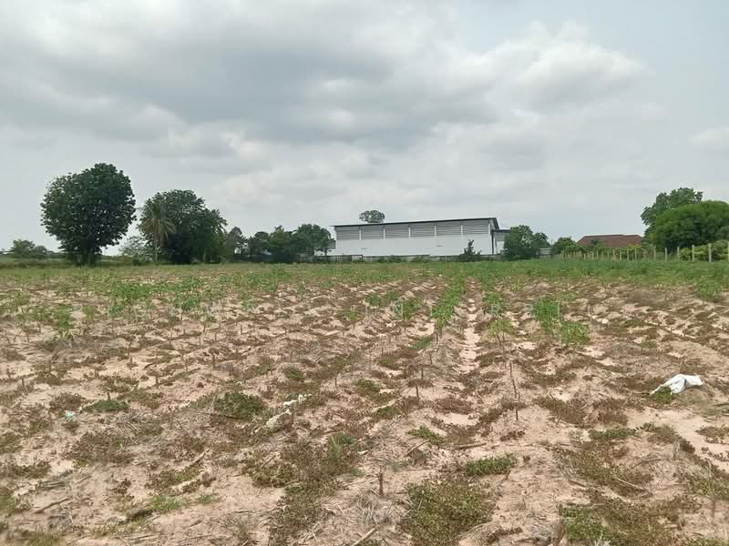 5 rai of land for sale in Bueng, Khong Market community, adjacent to a concrete road,, Chon Buri (Pattaya), Bueng, Si Racha, Chon Buri (Pattaya), , 8,328 sqm, Land For Sale, by RICHWELL INTERPLUS, 500272338 - DDproperty.com