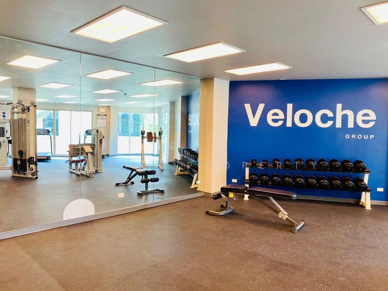 Veloche Apartments (The Ark Building), Phuket, Karon, Muang Phuket, Phuket, 2 Bedrooms, 170 sqm, Condo For Rent, by PK LIFE Property, 500272367 - DDproperty.com