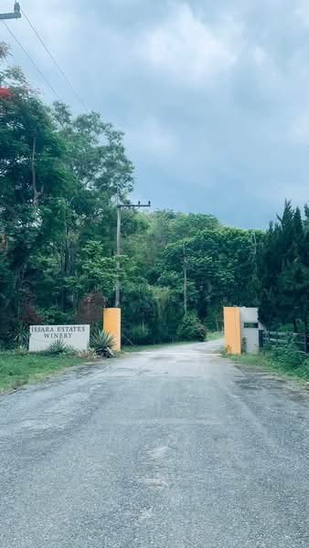 ที่ดิน โครงการชาญอิสระ 687 ตร.ว. อ.มวกเหล็ก จ.สระบุรี สวย คุ้มค่ามาก, สระบุรี, มิตรภาพ, มวกเหล็ก, สระบุรี, 2,748 ตร.ม., ที่ดิน ขาย, โดย ปภัสรินทร์ จิรพลเรืองชัย, 500272413 - DDproperty.com