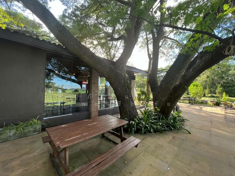 ที่ดิน โครงการชาญอิสระ 687 ตร.ว. อ.มวกเหล็ก จ.สระบุรี สวย คุ้มค่ามาก, Saraburi, Mittaphap, Muak Lek, Saraburi, , 2,748 sqm, Land For Sale, by Papatsarin Jirapolruangchai, 500272413 - DDproperty.com