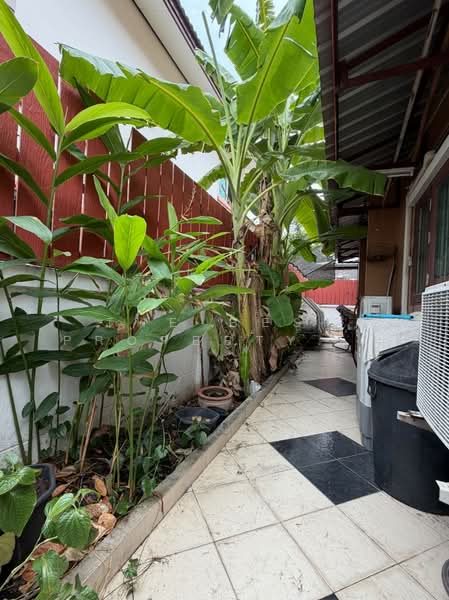 Baan Fah Piyarom Pruekwana, Pathum Thani, Bung Kham Proi, Lam Luk Ka, Pathum Thani, 4 Bedrooms, 120 sqm, Single Detached House For Sale, by The Best Property  โต้ง, 500272428 - DDproperty.com