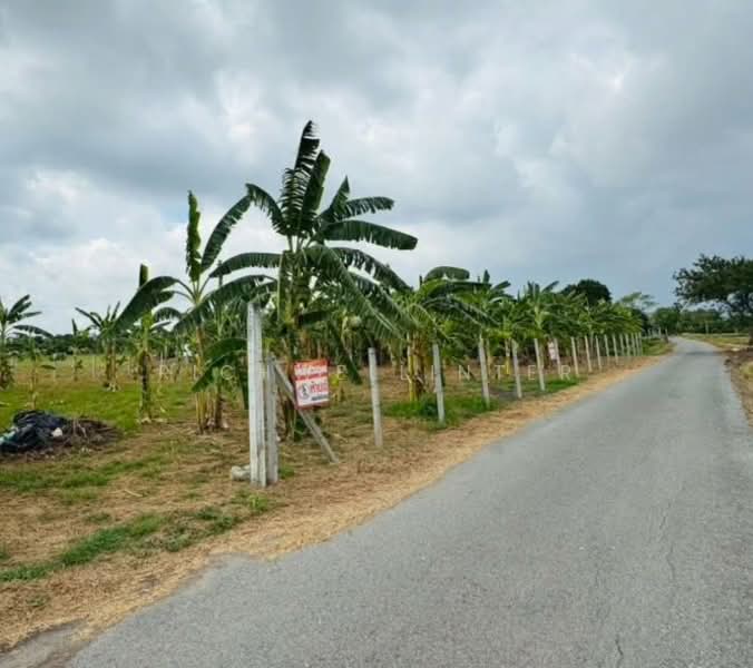 Land for sale in Bang Kakhai, 326 square wah, already filled and leveled., Chachoengsao, Bang Ka Hi, Muang Chachoengsao, Chachoengsao, , 1,304 sqm, Land For Sale, by richwellinter, 500272496 - DDproperty.com