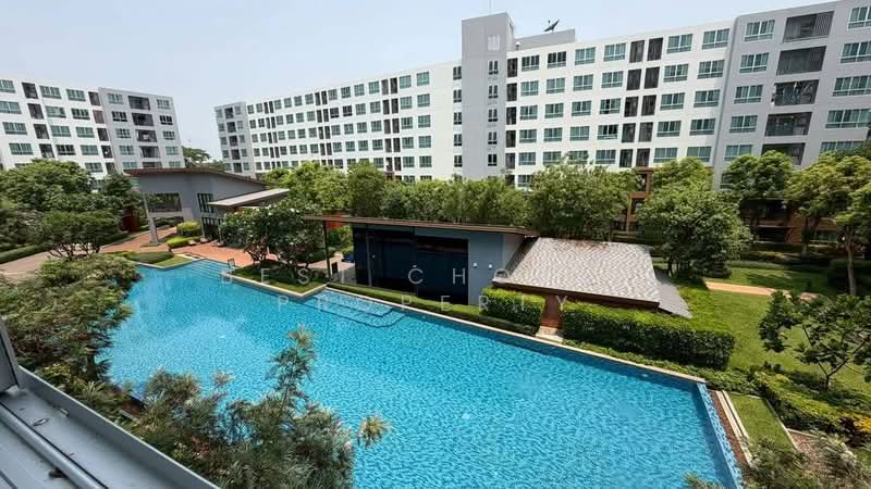 Dcondo Nim, Chiang Mai, 239 Hwy Chiang Mai-Lampang Frontage Road, Fa Ham, Muang Chiang Mai, Chiang Mai, 1 Bedroom, 30 sqm, Condo For Rent, by Best Choice Property, 500272521 - DDproperty.com