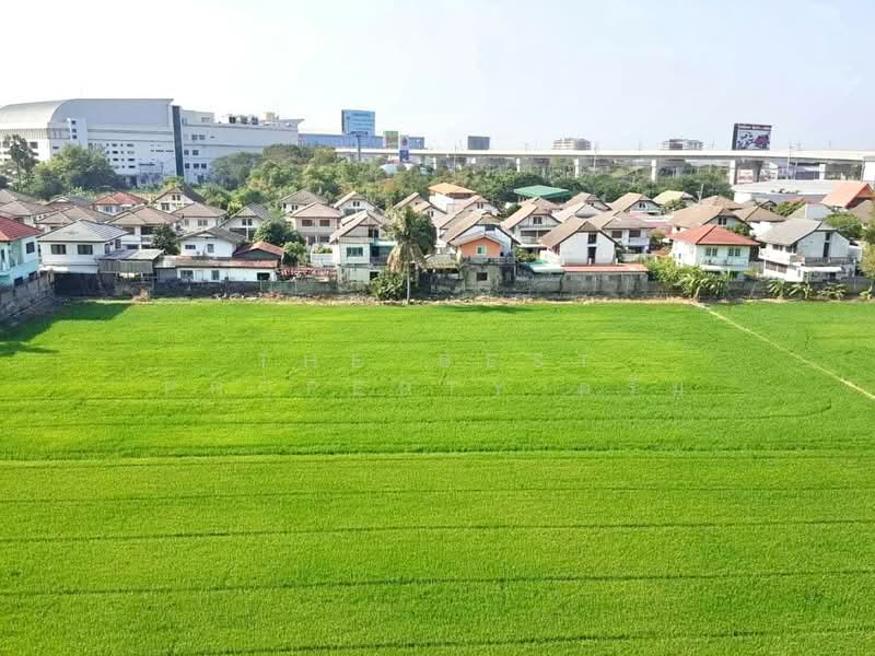 THE IRIS บางใหญ่, นนทบุรี, 102/329 ถนนจันทร์ทองเอี่ยม, บางรักพัฒนา, บางบัวทอง, นนทบุรี, 34 ตร.ม., คอนโด ขาย, โดย The Best Property ครีม, 500272540 - DDproperty.com