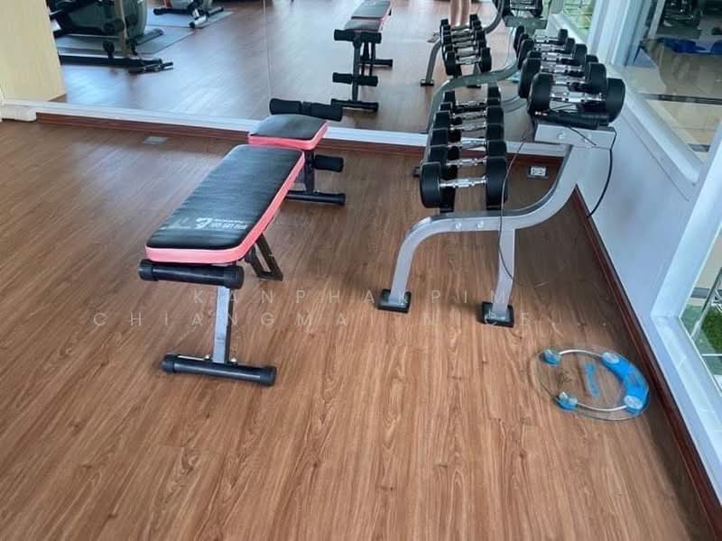 My Hip Condo 2 : มาย ฮิป คอนโด2, เชียงใหม่, หนองป่าครั่ง, เมืองเชียงใหม่, เชียงใหม่, 42 ตร.ม., คอนโด ให้เช่า, โดย Kanphakpim Chiangmai Nice Home, 500272617 - DDproperty.com