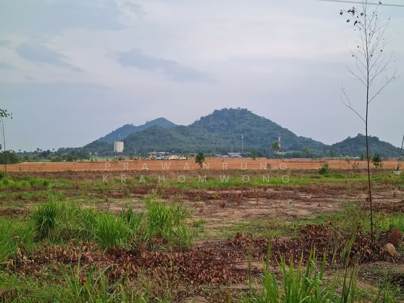 ขาย - คลองกิ่ว, ชลบุรี