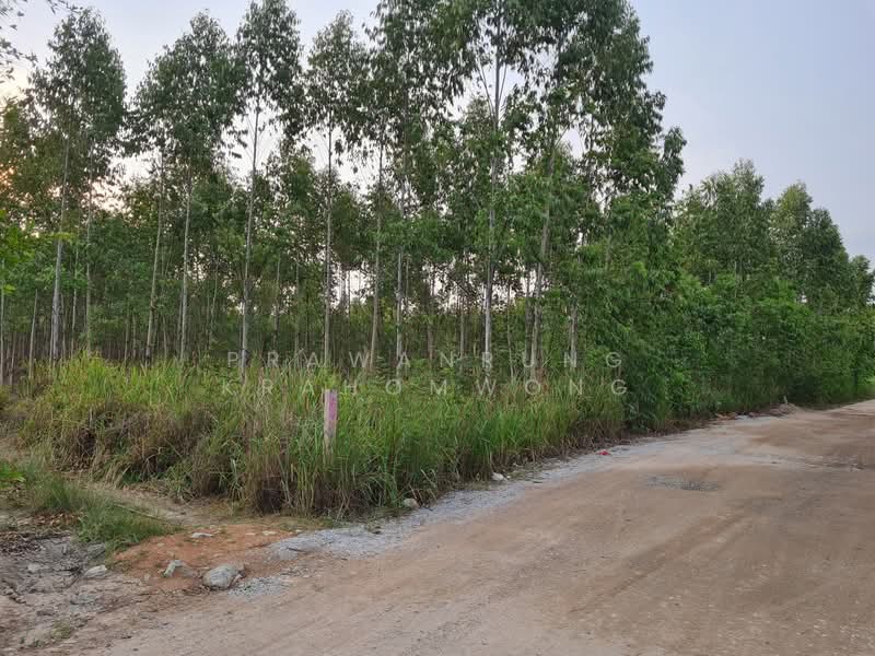 ขาย - คลองกิ่ว, ชลบุรี