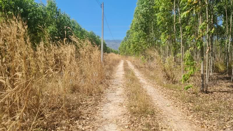 คลองกิ่ว, Chon Buri (Pattaya), Khlong Kiu, Ban Bung, Chon Buri (Pattaya), , 43,784 sqm, Land For Sale, by PRAWANRUNG KRAHOMWONG, 500272658 - DDproperty.com