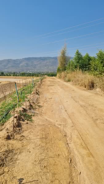 ขาย - คลองกิ่ว, ชลบุรี