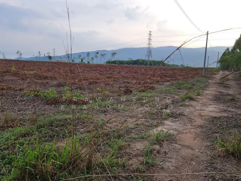 คลองกิ่ว, Chon Buri (Pattaya), Khlong Kiu, Ban Bung, Chon Buri (Pattaya), , 43,784 sqm, Land For Sale, by PRAWANRUNG KRAHOMWONG, 500272658 - DDproperty.com