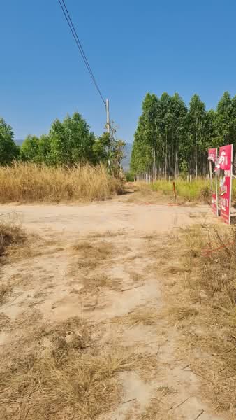 คลองกิ่ว, Chon Buri (Pattaya), Khlong Kiu, Ban Bung, Chon Buri (Pattaya), , 43,784 sqm, Land For Sale, by PRAWANRUNG KRAHOMWONG, 500272658 - DDproperty.com