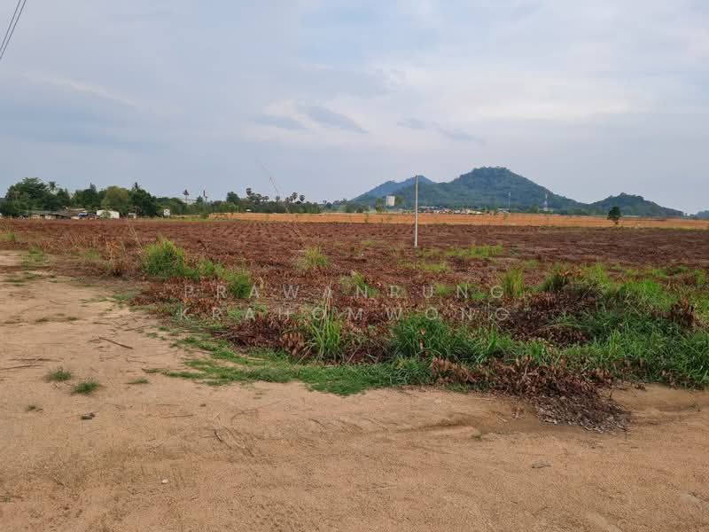 คลองกิ่ว, Chon Buri (Pattaya), Khlong Kiu, Ban Bung, Chon Buri (Pattaya), , 43,784 sqm, Land For Sale, by PRAWANRUNG KRAHOMWONG, 500272658 - DDproperty.com