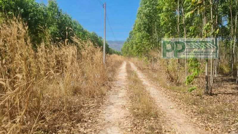 ขาย - คลองกิ่ว, ชลบุรี