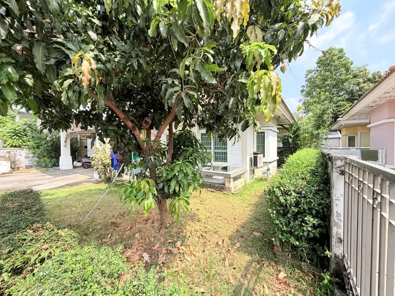 หมู่บ้าน บารานี รังสิต- คลองสาม 55.7 ตร.ว. (เพียง 2.99 ล้าน ), ปทุมธานี, เลียบคลองสาม, คลองสาม, คลองหลวง, ปทุมธานี, 223 ตร.ม., บ้านเดี่ยว ขาย, โดย วสันต์ วะสะติ, 500272742 - DDproperty.com