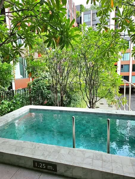 The Privacy S101, Bangkok, Soi Punna Withi 16 Sukhumvit Road, Bang Chak, Phra Khanong, Bangkok, 1 Bedroom, 29 sqm, Condo For Rent, by Shaporn Supvilaiphisan, 500272764 - DDproperty.com