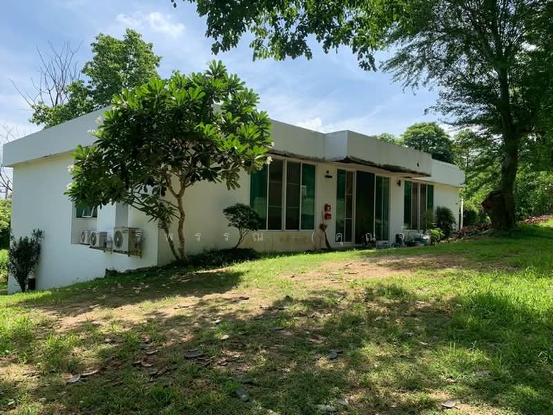 ปากช่อง, Nakhon Ratchasima, Khlong Muang, Pak Chong, Nakhon Ratchasima, , 20,908 sqm, Land For Sale, by สิริพรรณ (คุณจุ๊), 500272798 - DDproperty.com