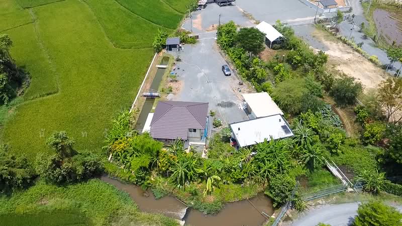 Spacious Private Land with House for Sale in Luang Nuea, Doi Saket, Chiang Mai, Sa Luang Nua, Doi Saket, Chiang Mai, , 1,600 sqm, Land For Sale, by Nunthawat Hiranputtipat, 500272819 - DDproperty.com