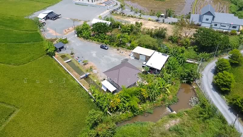 ลวงเหนือ, เชียงใหม่, ลวงเหนือ, ดอยสะเก็ด, เชียงใหม่, 1,600 ตร.ม., ที่ดิน ขาย, โดย นันทวัฒน์ หิรัญพุฒิพัทธ์, 500272819 - DDproperty.com