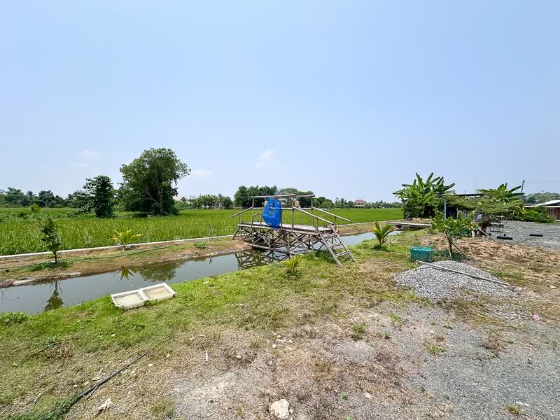 Spacious Private Land with House for Sale in Luang Nuea, Doi Saket, Chiang Mai, Sa Luang Nua, Doi Saket, Chiang Mai, , 1,600 sqm, Land For Sale, by Nunthawat Hiranputtipat, 500272819 - DDproperty.com