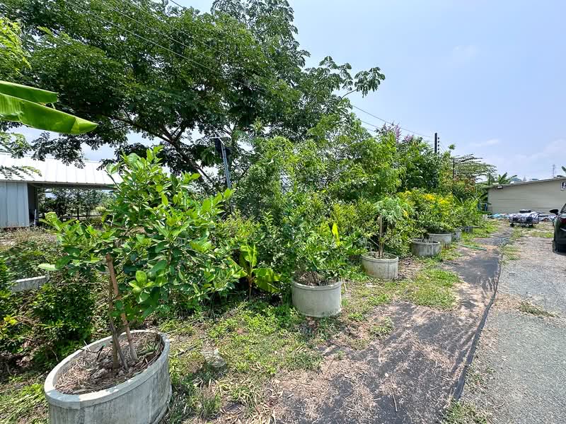 Spacious Private Land with House for Sale in Luang Nuea, Doi Saket, Chiang Mai, Sa Luang Nua, Doi Saket, Chiang Mai, , 1,600 sqm, Land For Sale, by Nunthawat Hiranputtipat, 500272819 - DDproperty.com