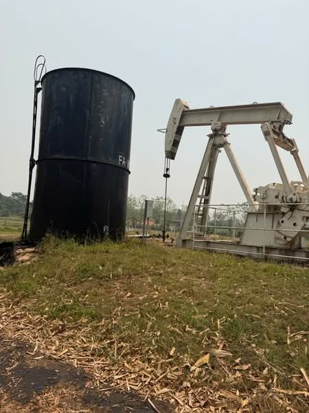 ขายที่ดินพร้อมบ่อน้ำมัน 11ไร่ 26 ตร.ว. โฉนดครุฑแดง น.ส.4 จ.2 แปลงติดกัน ตำบลแม่สูน อำเภอฝางเชียงใหม่, เชียงใหม่, แม่สูน, ฝาง, เชียงใหม่, 17,704 ตร.ม., ที่ดิน ขาย, โดย คุณ หมี, 500272930 - DDproperty.com