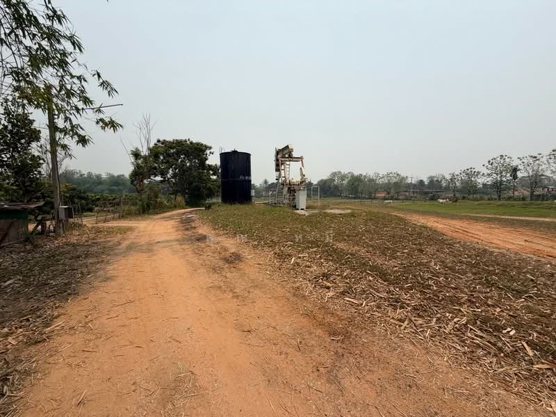 ขายที่ดินพร้อมบ่อน้ำมัน 11ไร่ 26 ตร.ว. โฉนดครุฑแดง น.ส.4 จ.2 แปลงติดกัน ตำบลแม่สูน อำเภอฝางเชียงใหม่, เชียงใหม่, แม่สูน, ฝาง, เชียงใหม่, 17,704 ตร.ม., ที่ดิน ขาย, โดย คุณ หมี, 500272930 - DDproperty.com