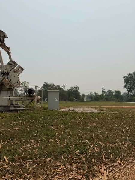 ขายที่ดินพร้อมบ่อน้ำมัน 11ไร่ 26 ตร.ว. โฉนดครุฑแดง น.ส.4 จ.2 แปลงติดกัน ตำบลแม่สูน อำเภอฝางเชียงใหม่, Chiang Mai, Mae Sun, Fang, Chiang Mai, , 17,704 sqm, Land For Sale, by คุณ หมี, 500272930 - DDproperty.com