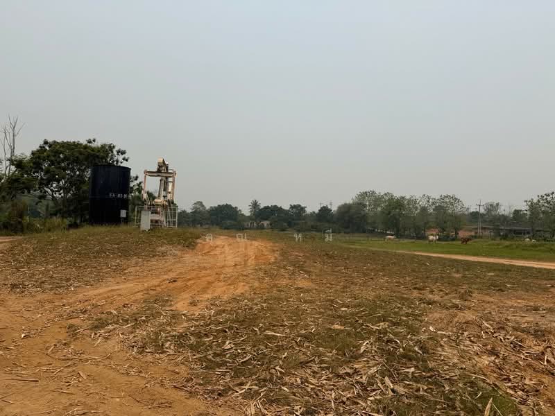 ขายที่ดินพร้อมบ่อน้ำมัน 11ไร่ 26 ตร.ว. โฉนดครุฑแดง น.ส.4 จ.2 แปลงติดกัน ตำบลแม่สูน อำเภอฝางเชียงใหม่, เชียงใหม่, แม่สูน, ฝาง, เชียงใหม่, 17,704 ตร.ม., ที่ดิน ขาย, โดย คุณ หมี, 500272930 - DDproperty.com