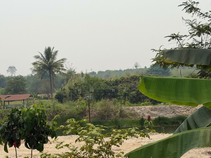 ขายที่ดินพร้อมบ่อน้ำมัน 11ไร่ 26 ตร.ว. โฉนดครุฑแดง น.ส.4 จ.2 แปลงติดกัน ตำบลแม่สูน อำเภอฝางเชียงใหม่, เชียงใหม่, แม่สูน, ฝาง, เชียงใหม่, 17,704 ตร.ม., ที่ดิน ขาย, โดย คุณ หมี, 500272930 - DDproperty.com