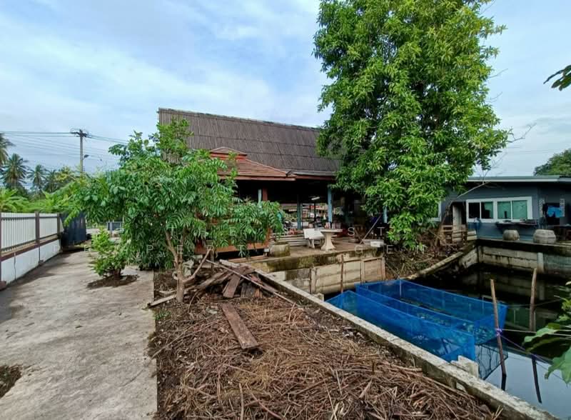 บ้านเดี่ยวบางคนที สมุทรสงคราม, Samut Songkhram, Kradangnga, Bang Khon Ti, Samut Songkhram, 2 Bedrooms, 100 sqm, Single Detached House For Sale, by The Best Property Agent โอ๋, 500272954 - DDproperty.com