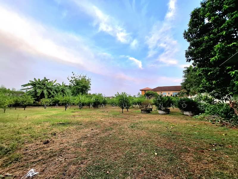 ที่ดินกรุงเทพกรีฑา20, Bangkok, Saphan Sung, Saphan Sung, Bangkok, , 1,600 sqm, Land For Sale, by Thanitcha Kangkasuwanno, 500272989 - DDproperty.com