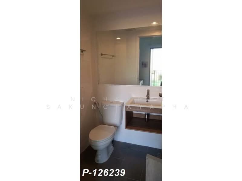 The Excel Groove Lasalle 52, Bangkok, Soi Sukhumvit 105 Lasalle Road, Bang Na, Bang Na, Bangkok, 1 Bedroom, 25 sqm, Condo For Rent, by Nichaphat Sakunchayapha, 500272990 - DDproperty.com