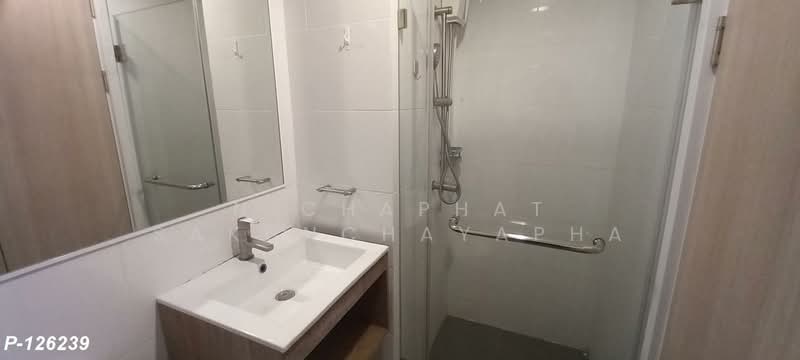 The Excel Groove Lasalle 52, Bangkok, Soi Sukhumvit 105 Lasalle Road, Bang Na, Bang Na, Bangkok, 1 Bedroom, 25 sqm, Condo For Rent, by Nichaphat Sakunchayapha, 500272990 - DDproperty.com