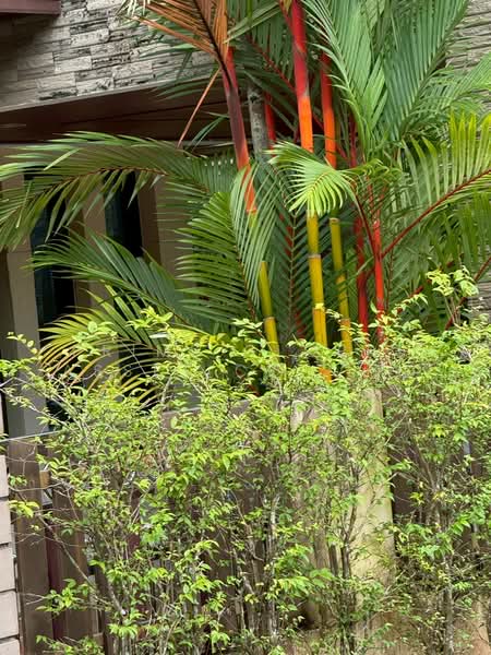Phanason Resort, ภูเก็ต, เกาะแก้ว, เมืองภูเก็ต, ภูเก็ต, 240 ตร.ม., บ้านเดี่ยว ขาย, โดย Prime Global Asset Co.,Ltd, 500273004 - DDproperty.com