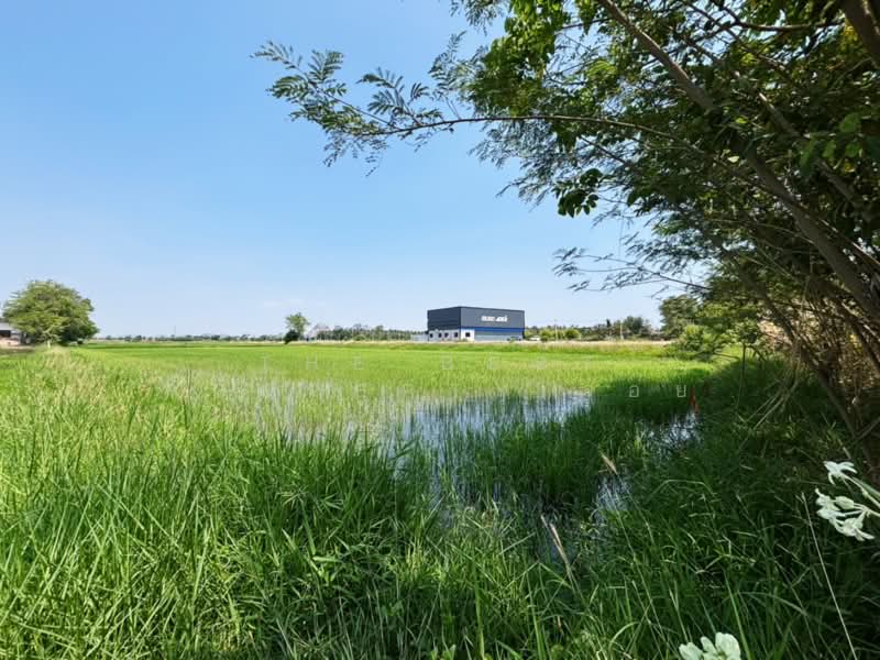 ที่ดินเจดีย์หัก ราชบุรี, Ratchaburi, Chedi Hak, Muang Ratchaburi, Ratchaburi, , 16,276 sqm, Land For Sale, by The Best Property จอย, 500273244 - DDproperty.com