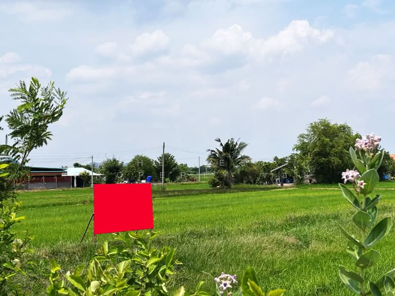 ที่ดินเจดีย์หัก ราชบุรี, Ratchaburi, Chedi Hak, Muang Ratchaburi, Ratchaburi, , 16,276 sqm, Land For Sale, by The Best Property จอย, 500273244 - DDproperty.com