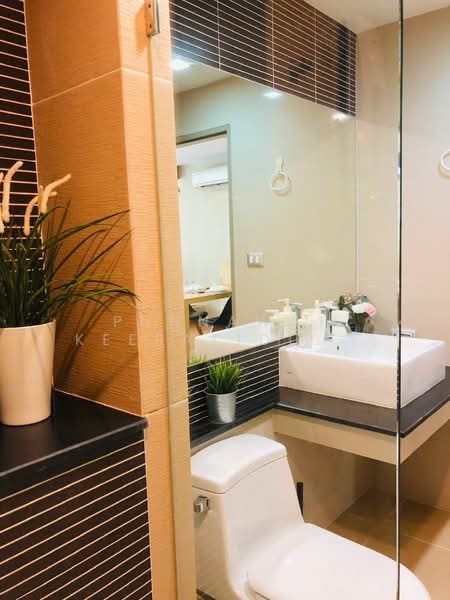 Tree Condo Sukhumvit 52 : ทรี คอนโด สุขุมวิท 52, กรุงเทพ, ซอยสุขุมวิท 52, บางจาก, พระโขนง, กรุงเทพ, 44 ตร.ม., คอนโด ให้เช่า, โดย Punnawat Keeratidusitroj, 500273260 - DDproperty.com