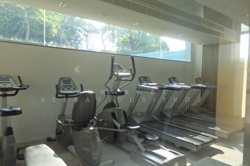 CEIL by Sansiri, Bangkok, 11 Soi Ekamai 12, Sukhumvit 63 Road, Khlong Tan Nua, Watthana, Bangkok, 1 Bedroom, 30 sqm, Condo For Rent, by Punnawat Keeratidusitroj, 500273306 - DDproperty.com