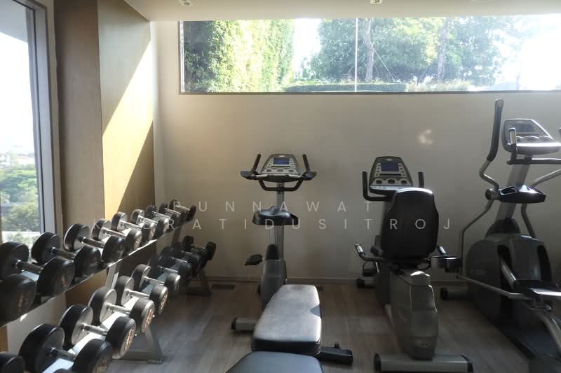 CEIL by Sansiri : ซีล บาย แสนสิริ, กรุงเทพ, 11 ซอยเอกมัย 12 ถนนสุขุมวิท 63, คลองตันเหนือ, วัฒนา, กรุงเทพ, 30 ตร.ม., คอนโด ให้เช่า, โดย Punnawat Keeratidusitroj, 500273306 - DDproperty.com